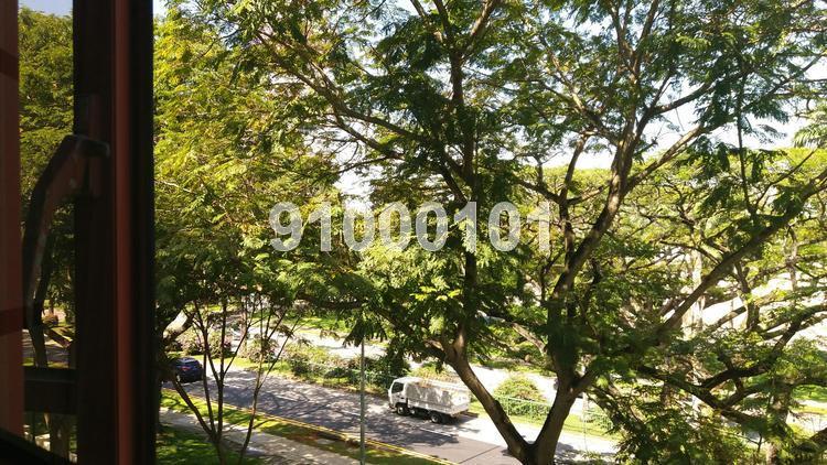 Casafina (D16), Condominium #143319852